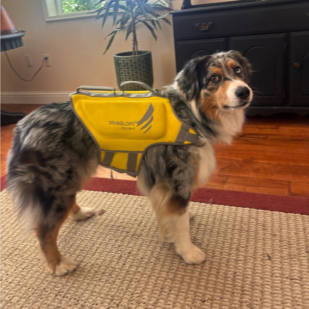 Dog Life Jacket - Picture 4 of 9